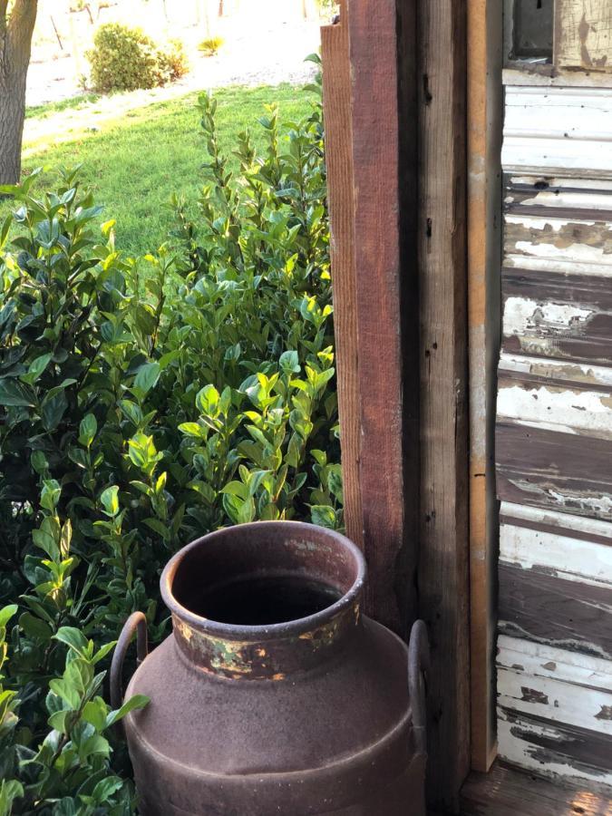 No 3 @ Bed In A Shed B&Bs Watervale Luaran gambar